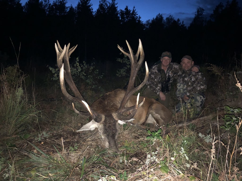 Renne, corne, bois de cerf, wapiti, caribou de la toundra, faune, chasse  aux trophées, orignal png