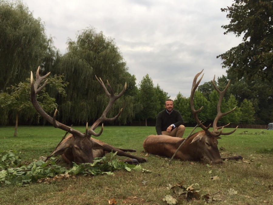 CROATIA HUNTING MONSTER RED STAG GP Voyages